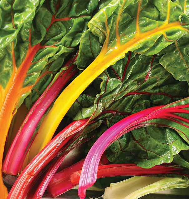 Swiss Chard - Celebration