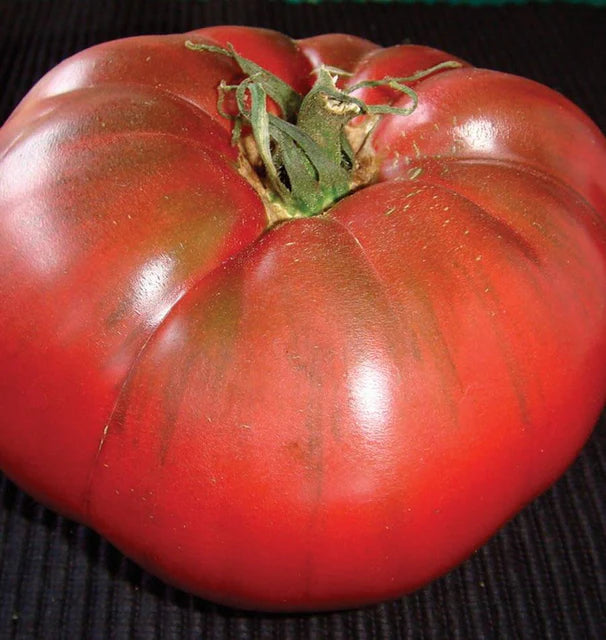Tomatoes - Black Krim - Certified Organic