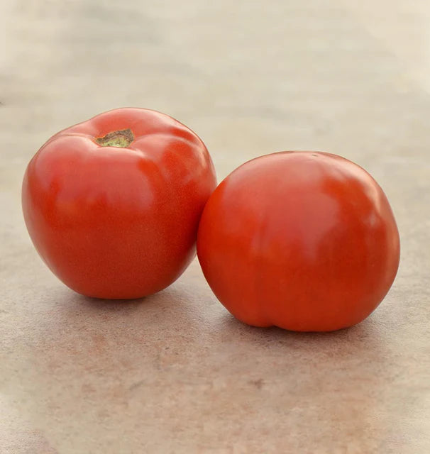 Tomatoes - Roadster