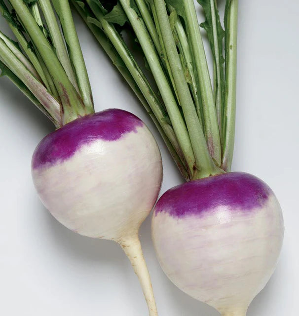 Turnips - Purple Prince