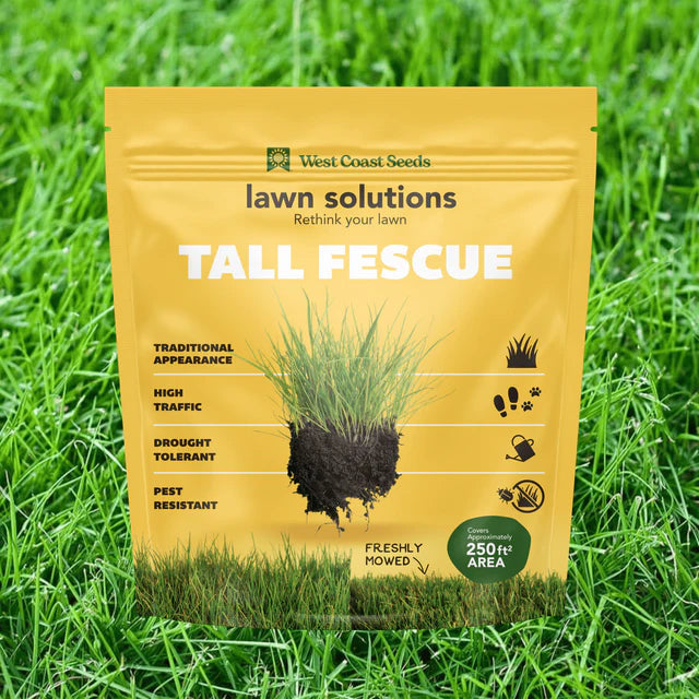 Tall Fescue Lawn Seed