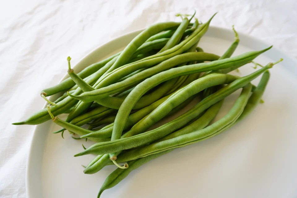 Bush Beans - Goliath