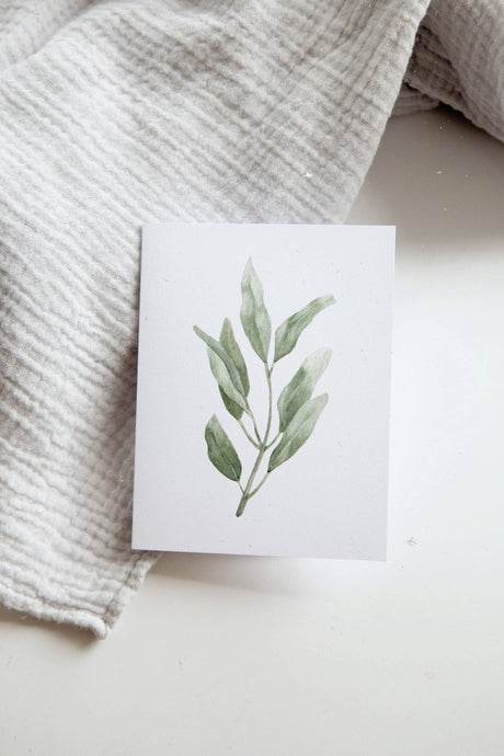 Sage Herb Everyday Greeting Card