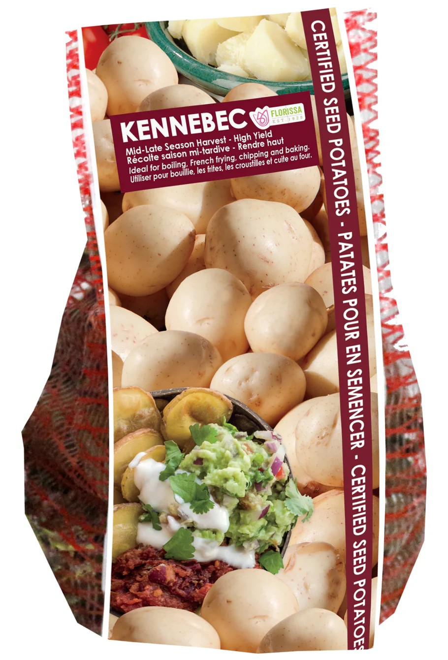 POTATOES - Kennebec