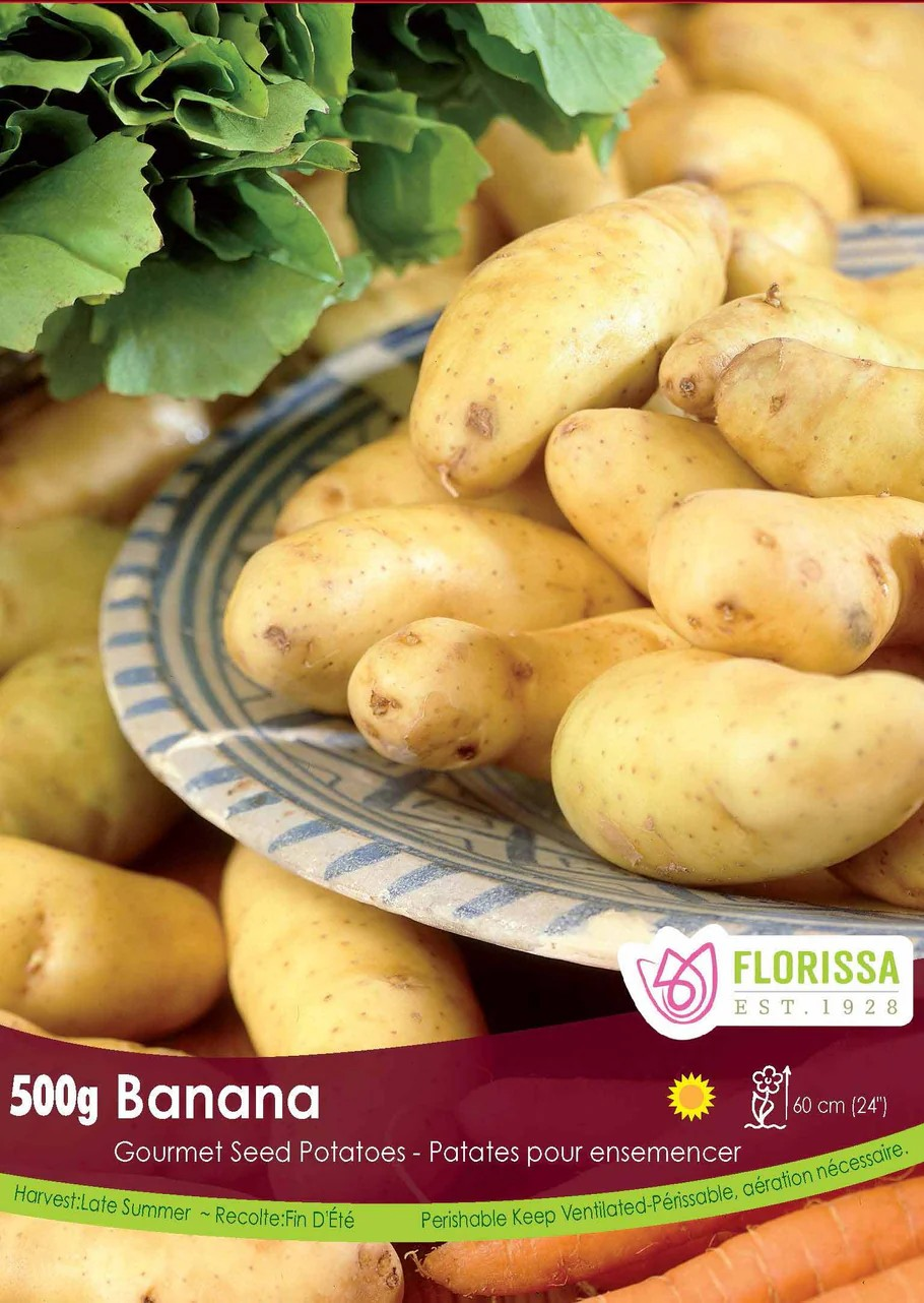 POTATOES - Gourmet Banana