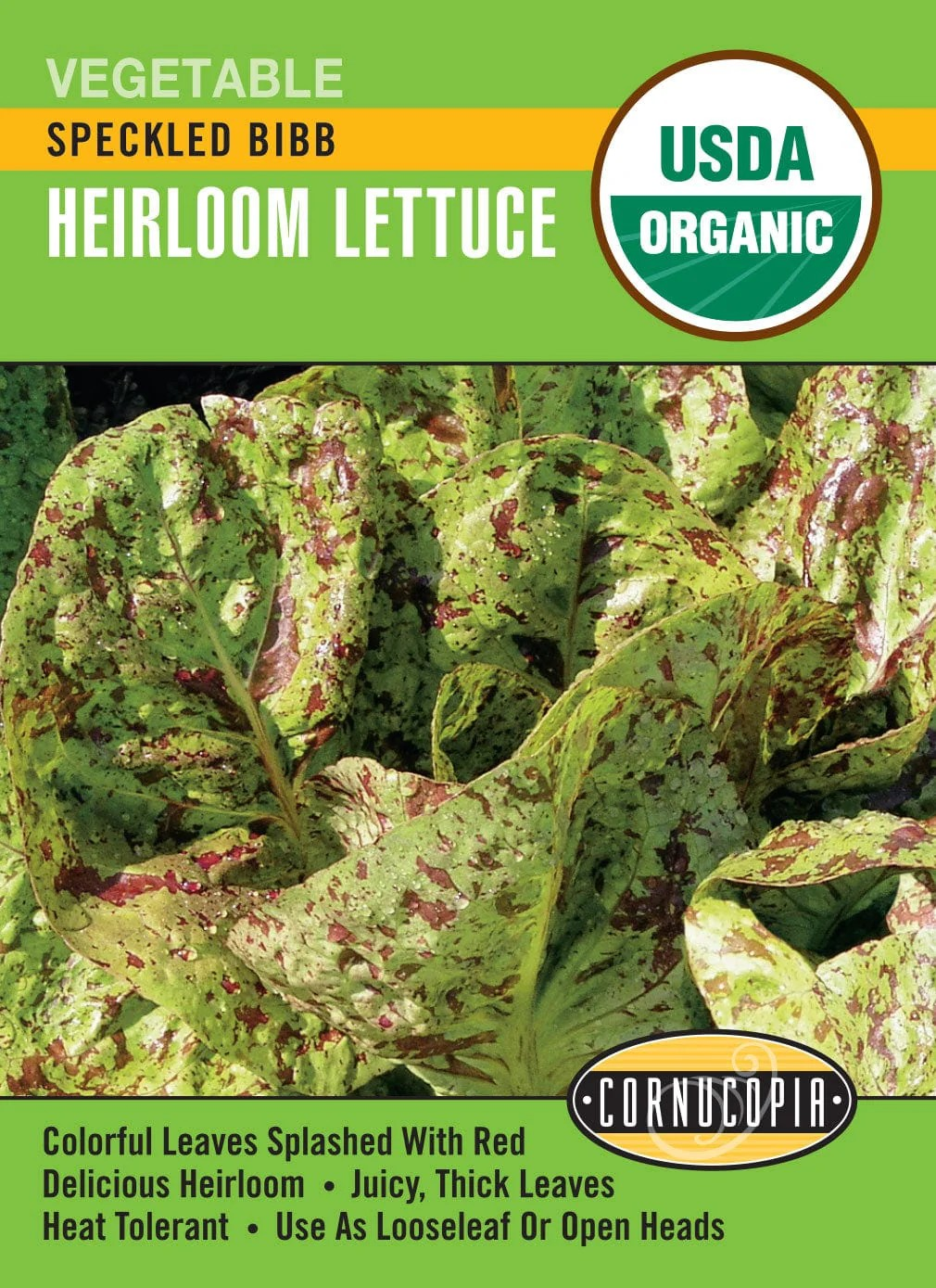 Lettuce - Speckled Bibb - Organic