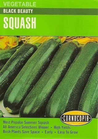 Squash - Squash Summer Zucchini Black Beauty