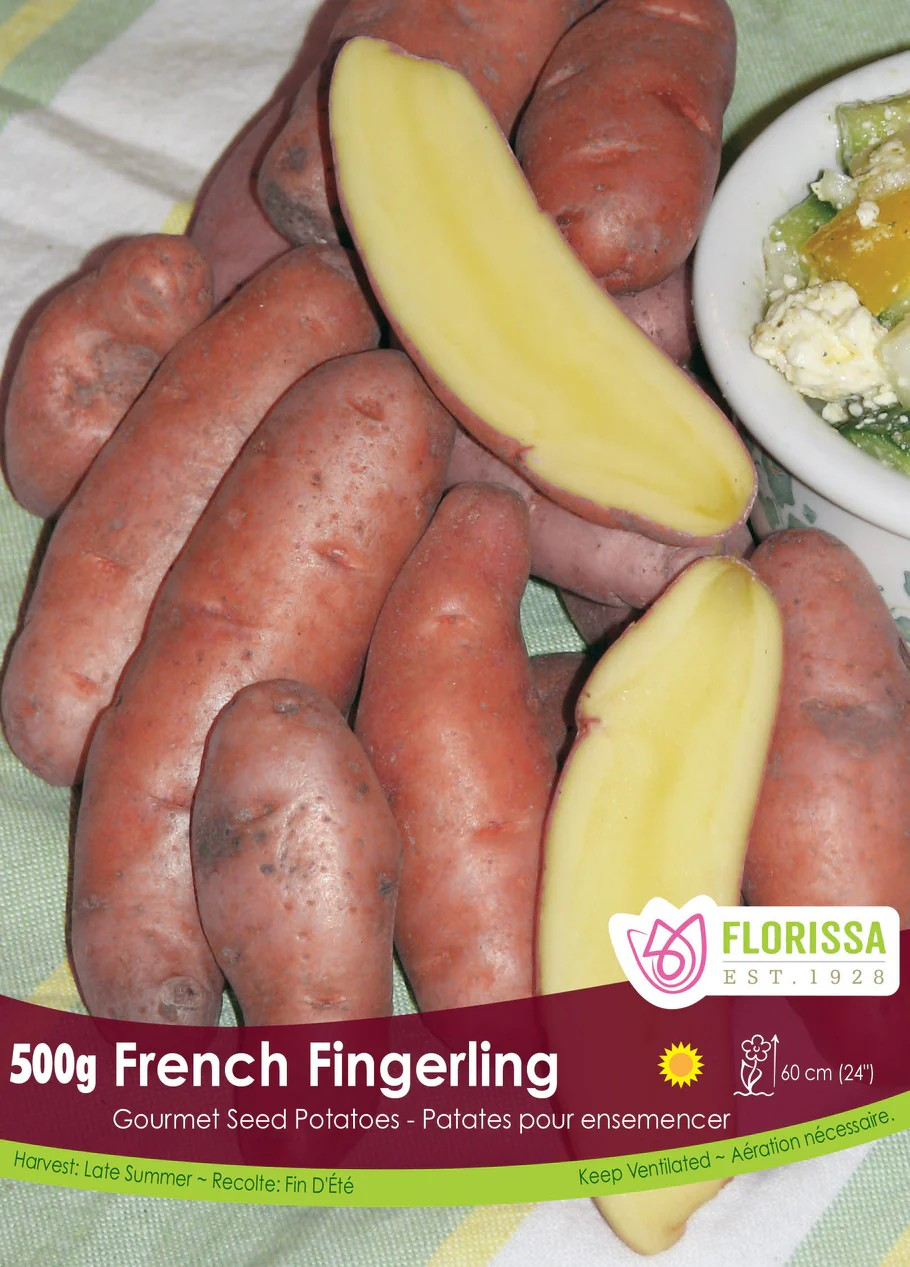 POTATOES - Gourmet French Fingerling