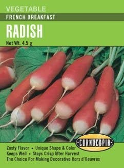Radish - Radish French Breakfast