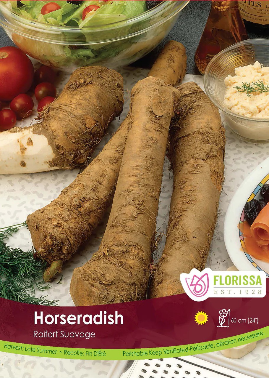 HORSERADISH