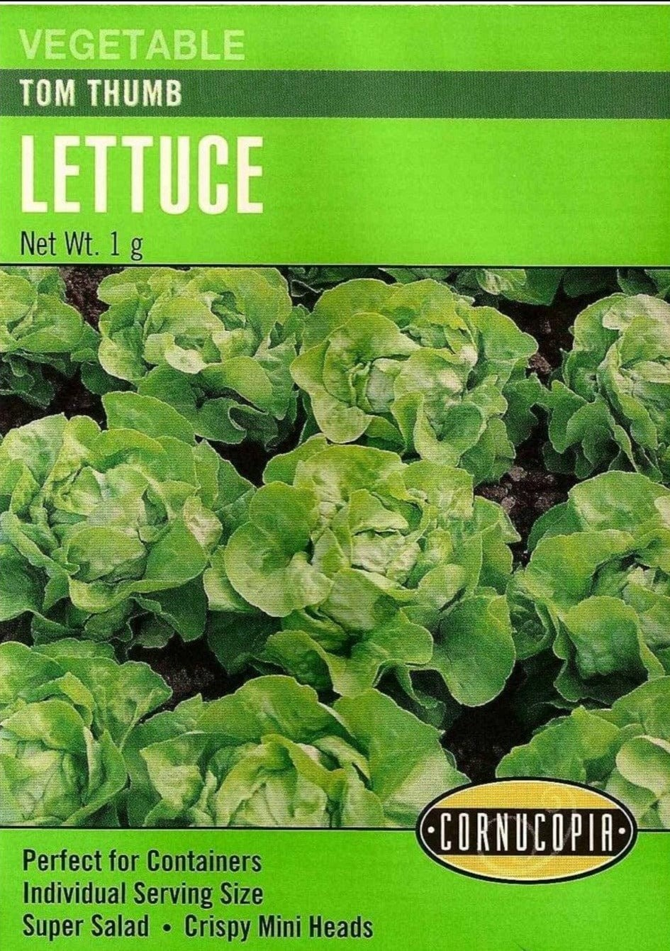 Lettuce - Tom Thumb