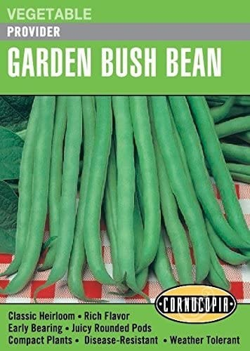 Bush Bean - Provider