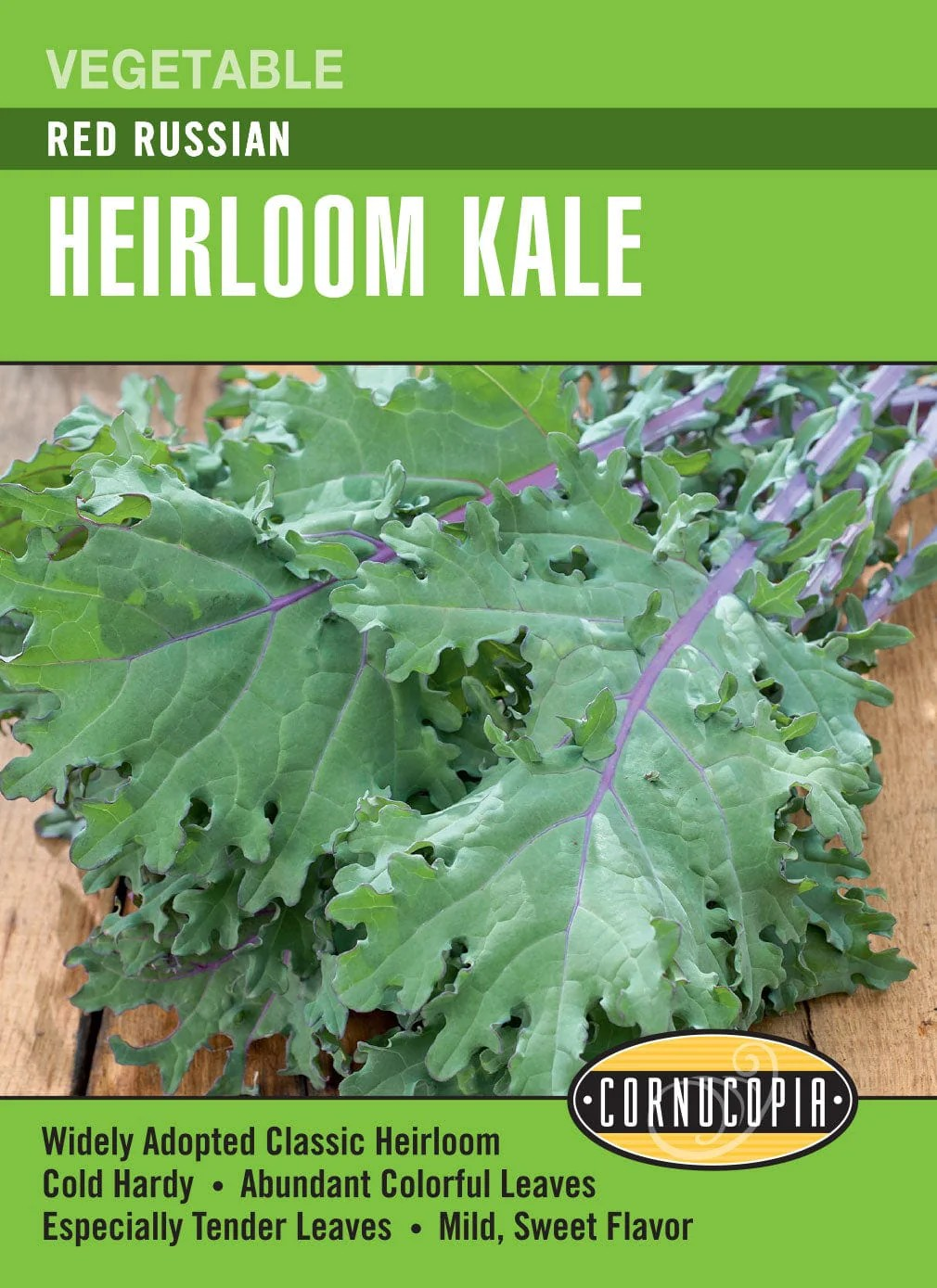 Kale - Heirloom Red Russian