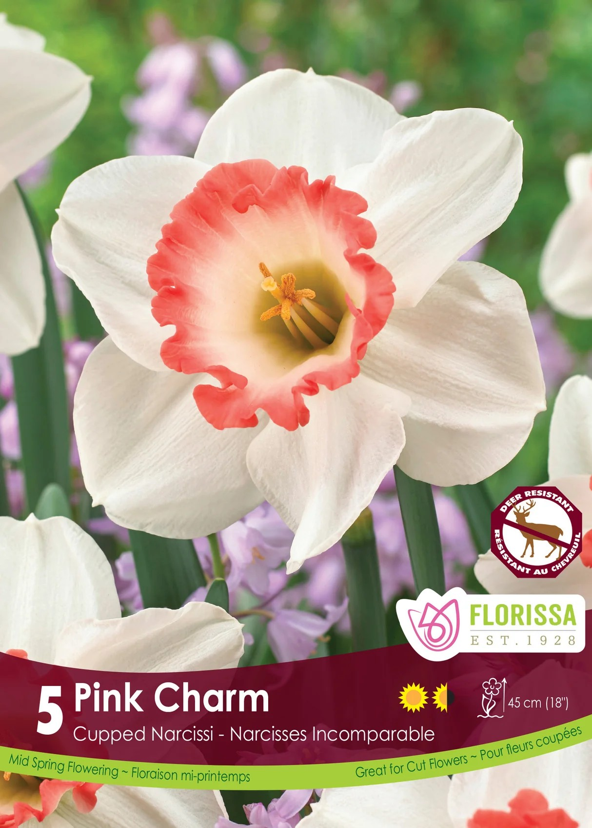 Narcissus Cupped 'Pink Charm'