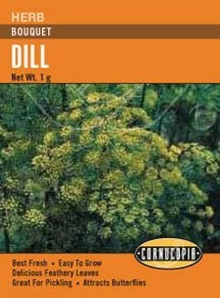 Dill - Dill Bouquet