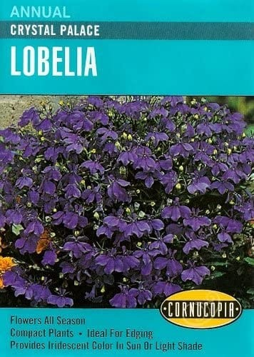 Lobelia - Lobelia Crystal Palace