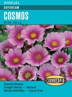 Cosmos - Cosmos Daydream
