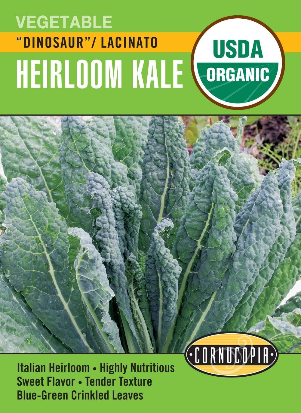 Kale - Kale Lacinato Dinosaur - Organic