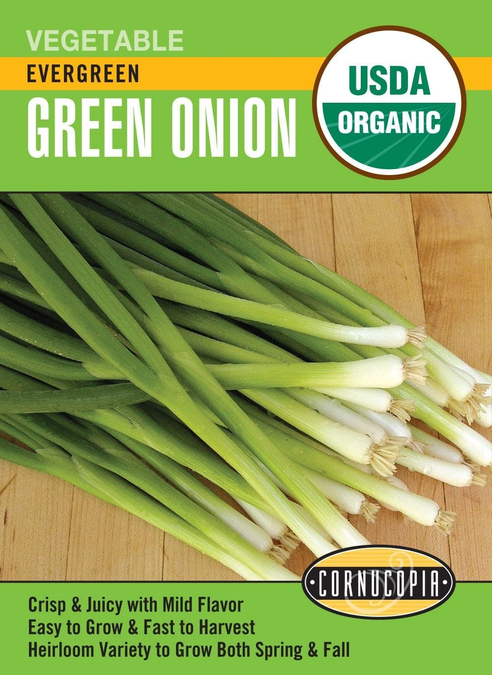 Onion - Bunching Evergreen - Organic