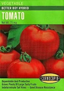 Tomato - Tomato Better Boy Hybrid