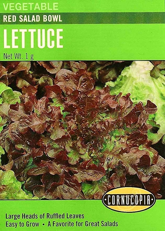 Lettuce - Lettuce Red Salad Bowl