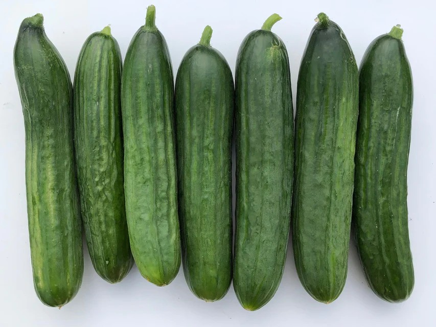 Cucumbers - Manny