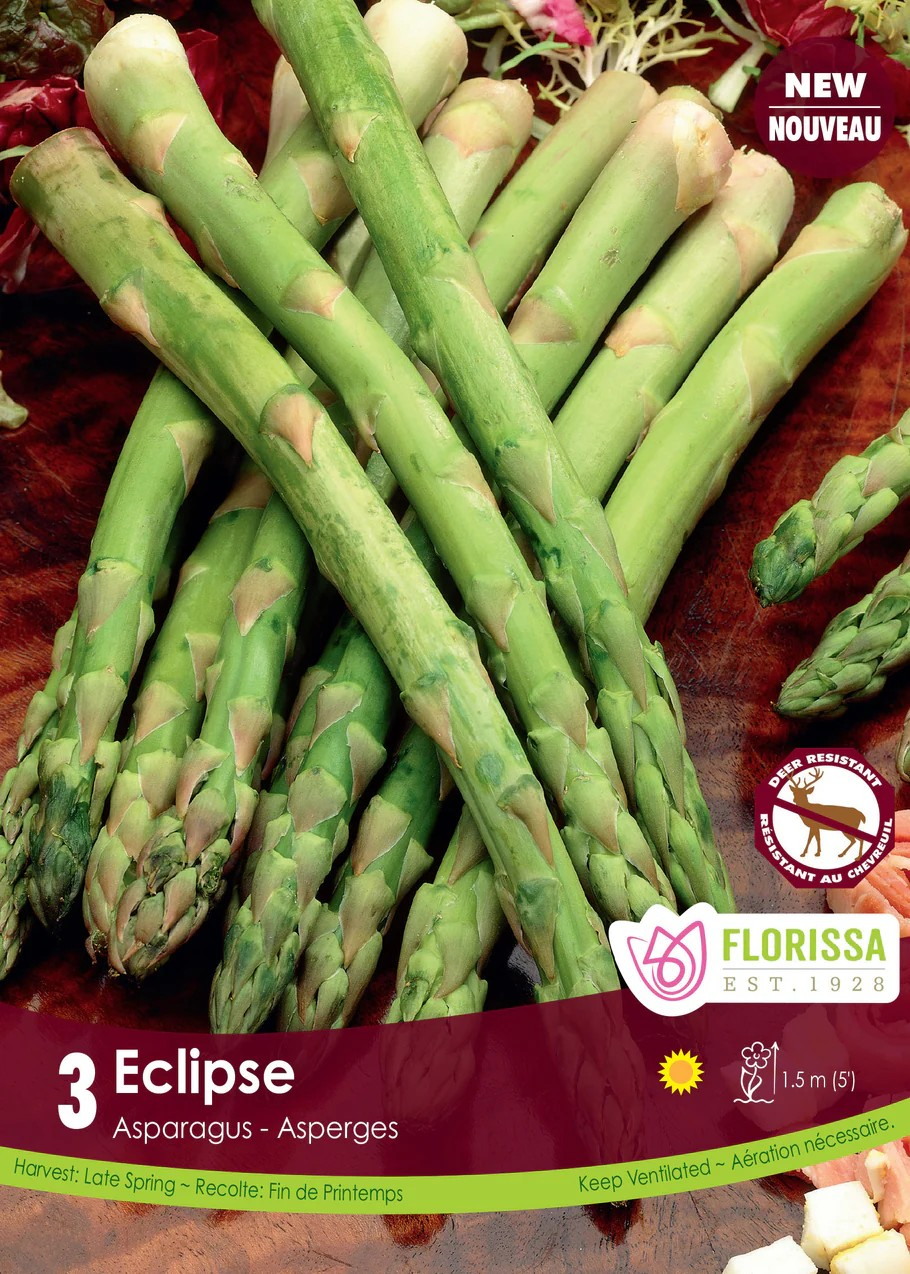 ASPARAGUS Eclipse