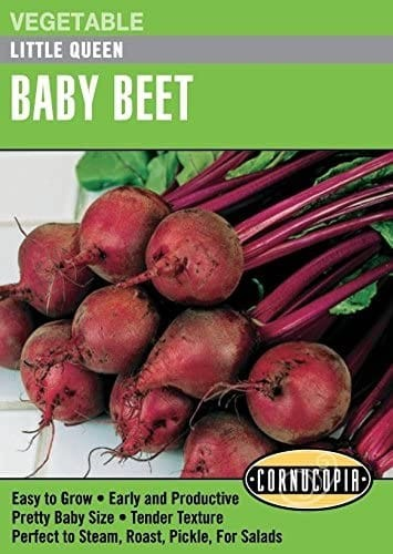 Beet - Beet Little Queen