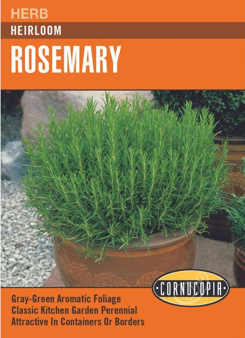 Rosemary - Rosemary