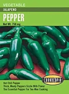 Chile Pepper - Jalapeno