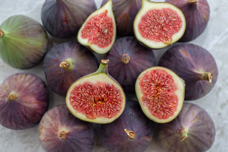 Ficus carica 'LSU Purple'
