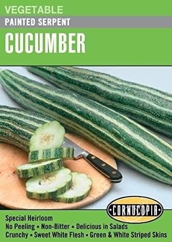 Cucumber - Painted Serpent