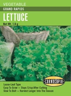 Lettuce - Grand Rapids