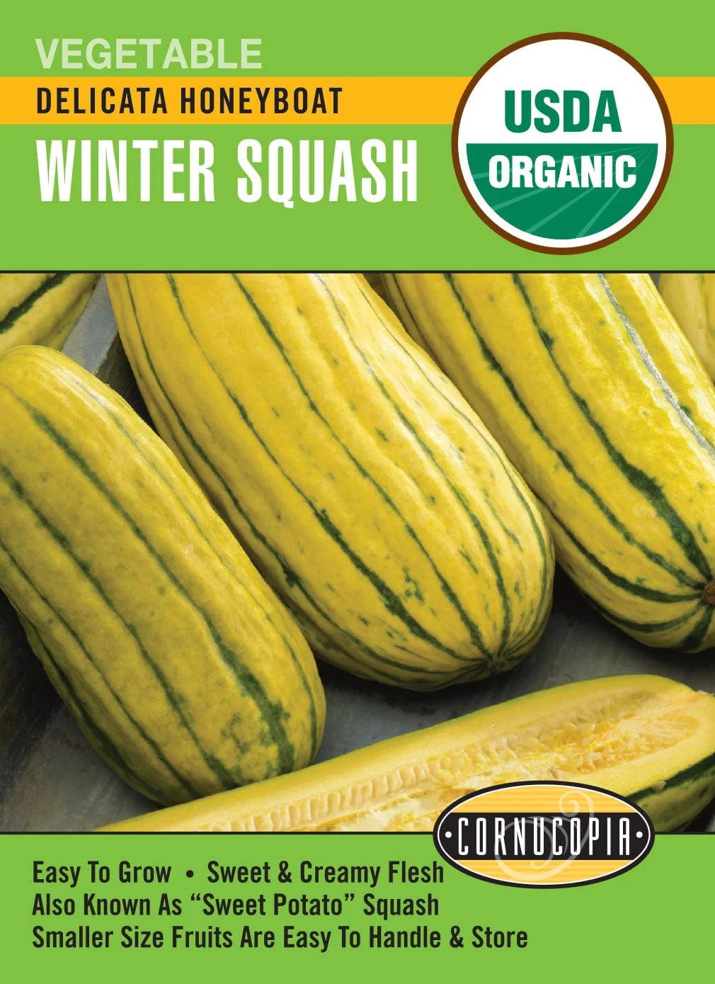Winter Squash - Delicata Honeyboat