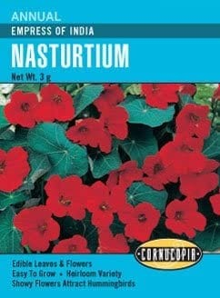 Nasturtium - Empress of India