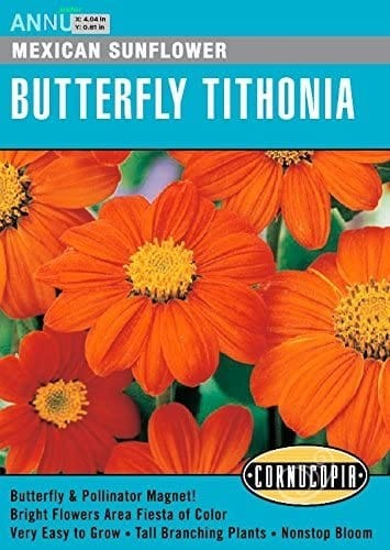 Tithonia - Tithonia Torch (Mexican Sunflower)