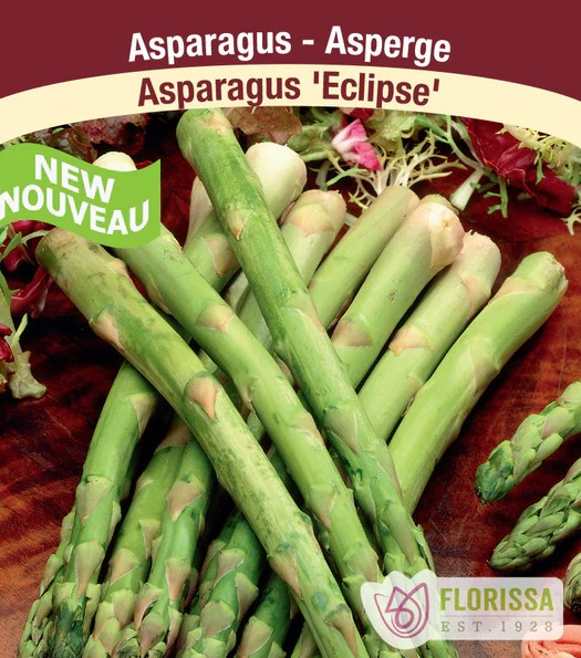 Pkg.3 ASPARAGUS Eclipse