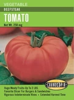 Tomato - Tomato Beefsteak