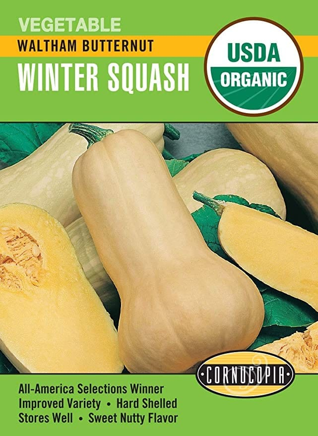 Squash - Squash Winter Waltham Butternut