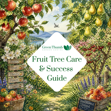 Fruit Tree Care & Success Guide