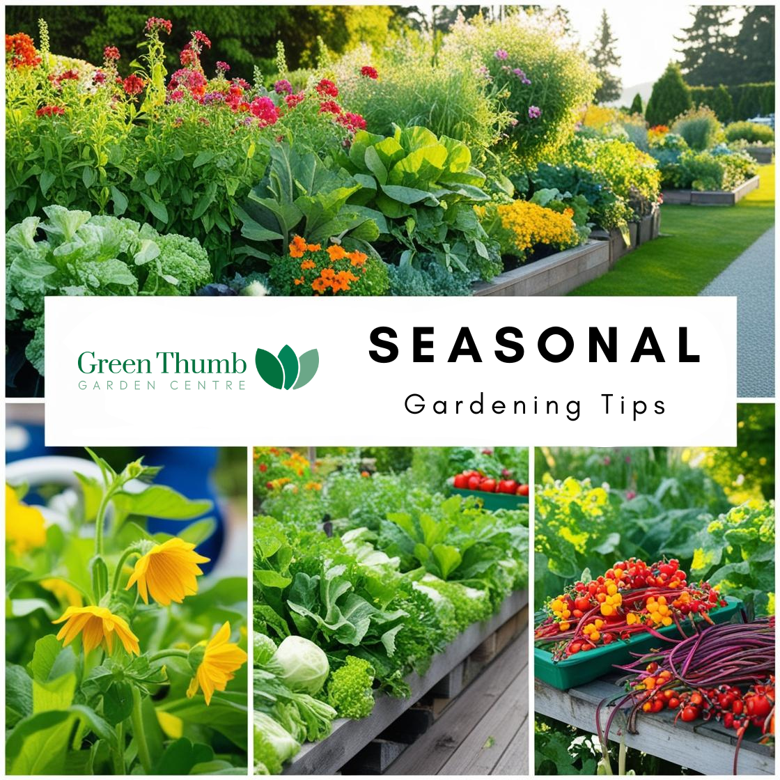 Seasonal Care Tips for Vancouver Island Plants