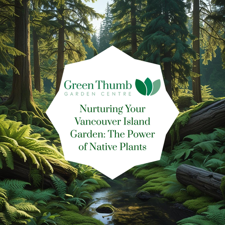 Nurturing Your Vancouver Island Garden: The Power of Native Plants