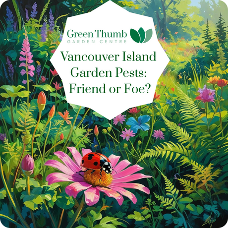 Vancouver Island Garden Pests: Friend or Foe?