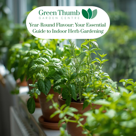 Year-Round Flavour: Your Essential Guide to Indoor Herb Gardens