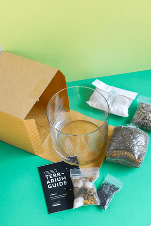 Terrarium Kit : Large Cylinder