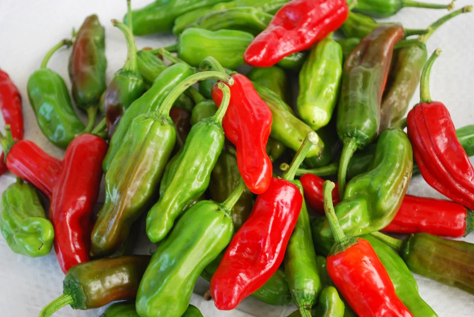 Pepper - Pepperoncini