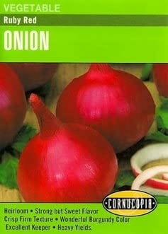 Onion - Ruby Red