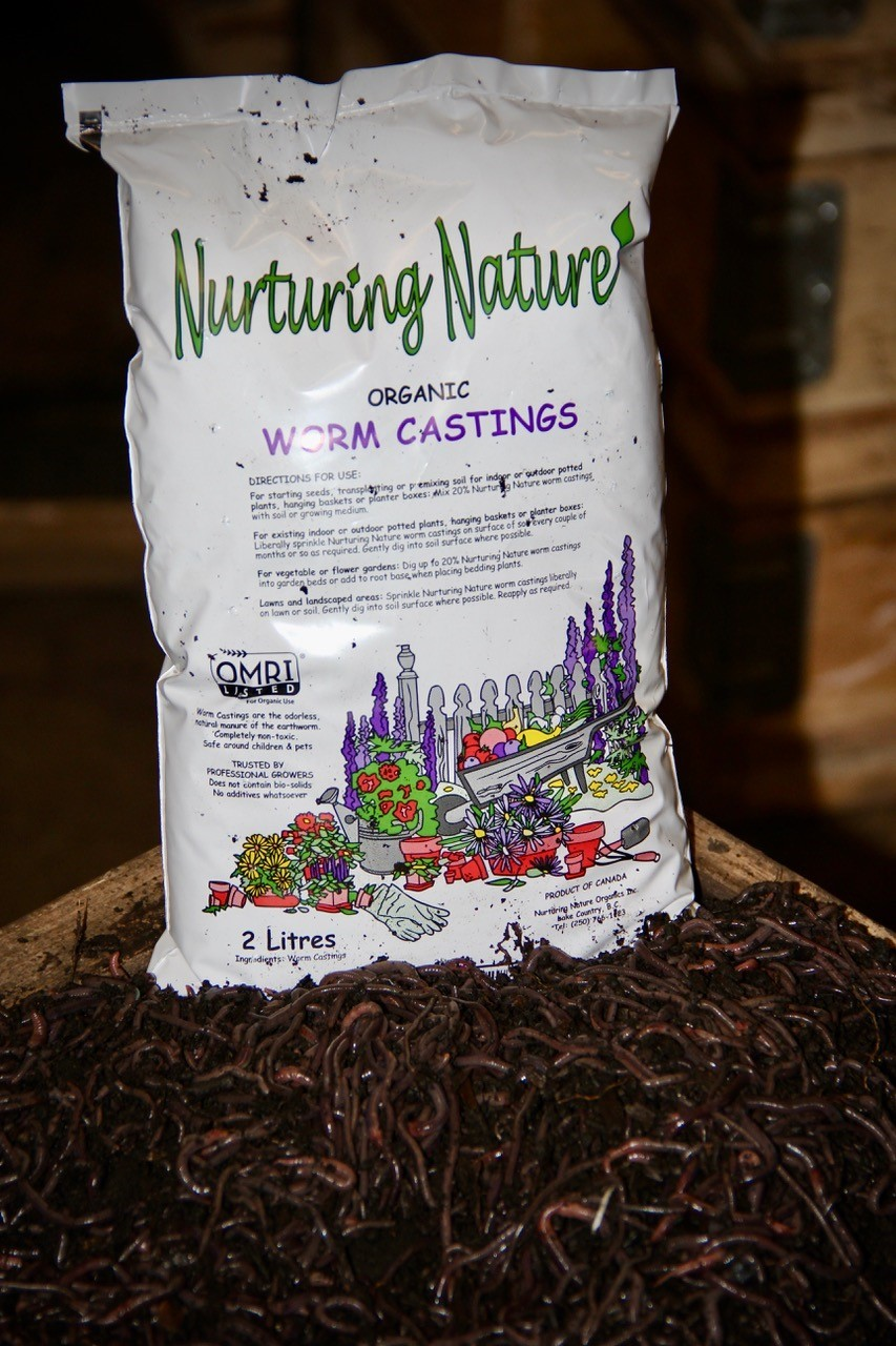 Worm Castings