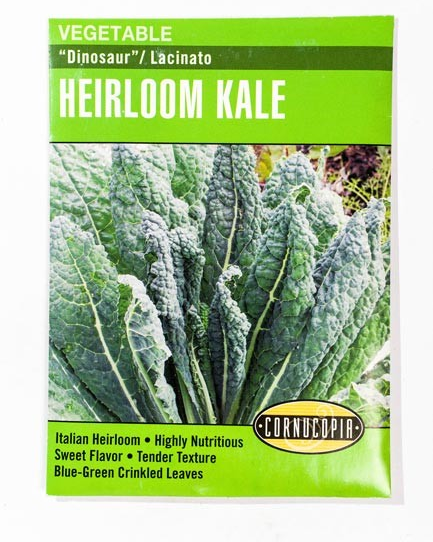 Kale - Lacinato Dinosaur