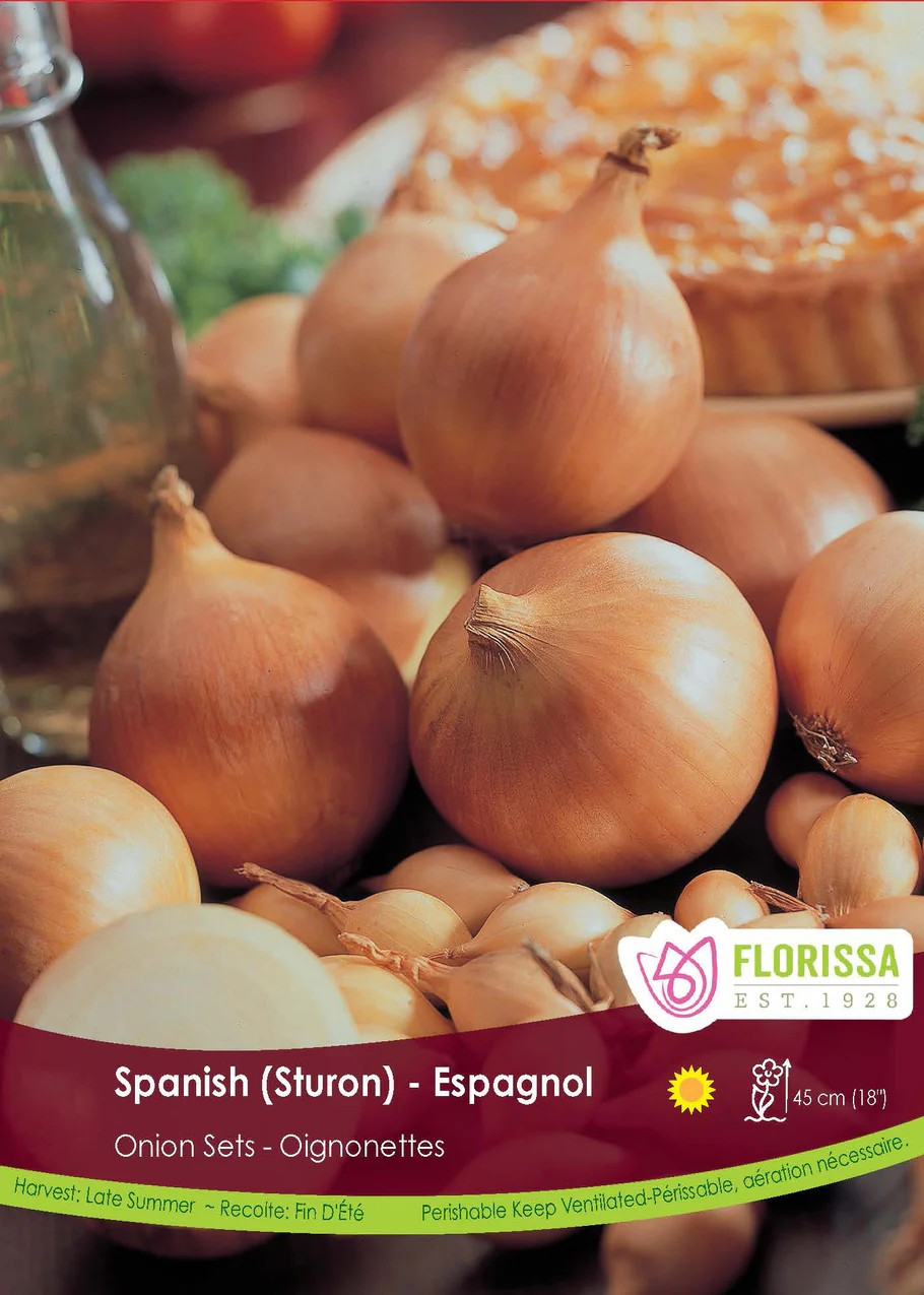 Pkg.80 ONION Spanish